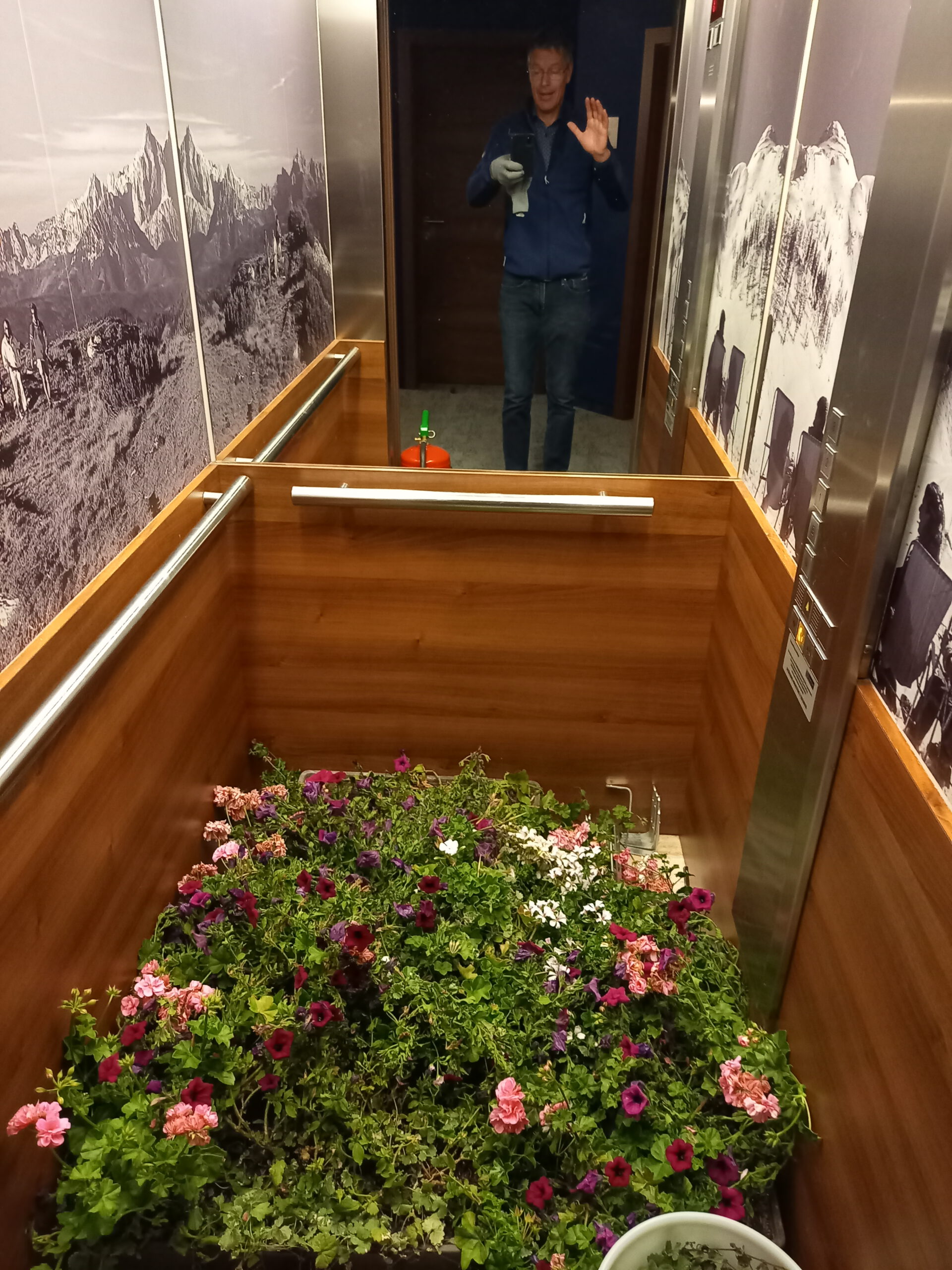 Wenn die Blumen Aufzug fahren